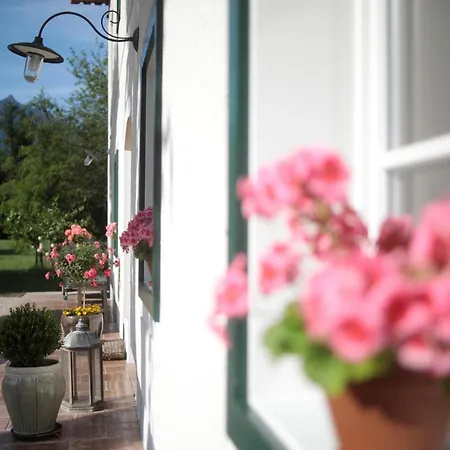 Appartement Branntweinhaeusl