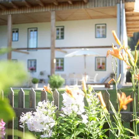 Branntweinhaeusl Апартаменты *