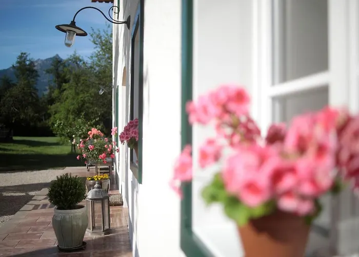 Appartement Branntweinhaeusl